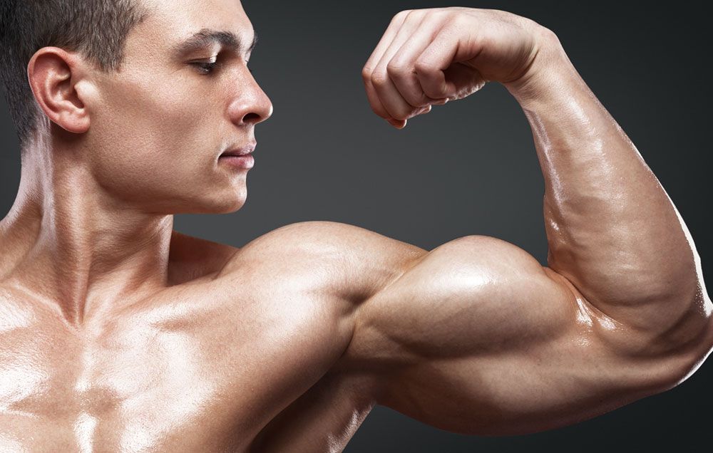 Achieve Broader and More Vascular Arms: A Complete Guide