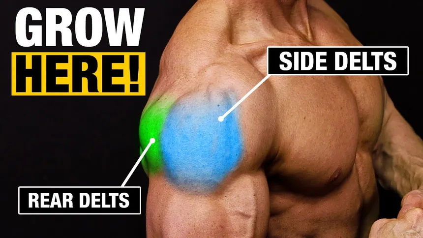 The Ultimate Guide to Getting Wider Shoulders