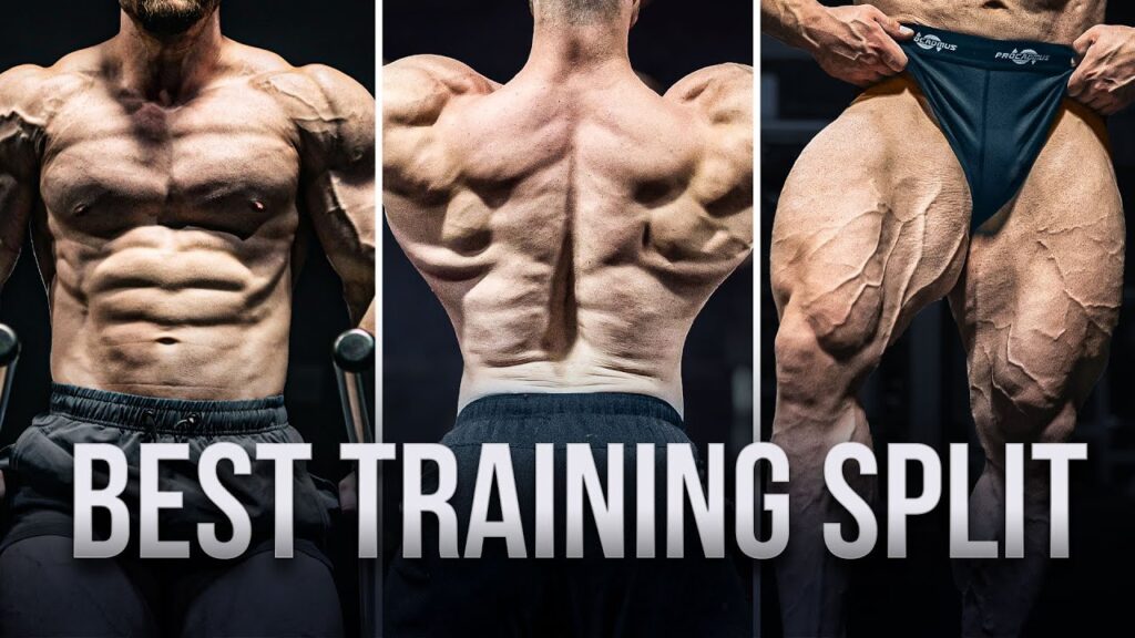 The Top 3 Workout Splits to Maximize Muscle Growth: Proven Strategies for Optimal Results