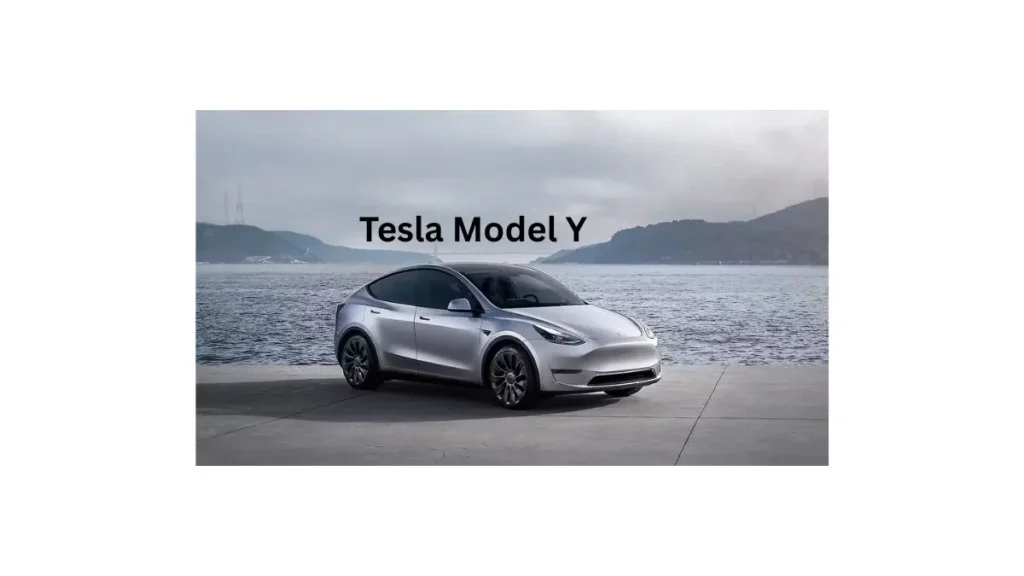 Tesla Model Y electric SUV launched in India
